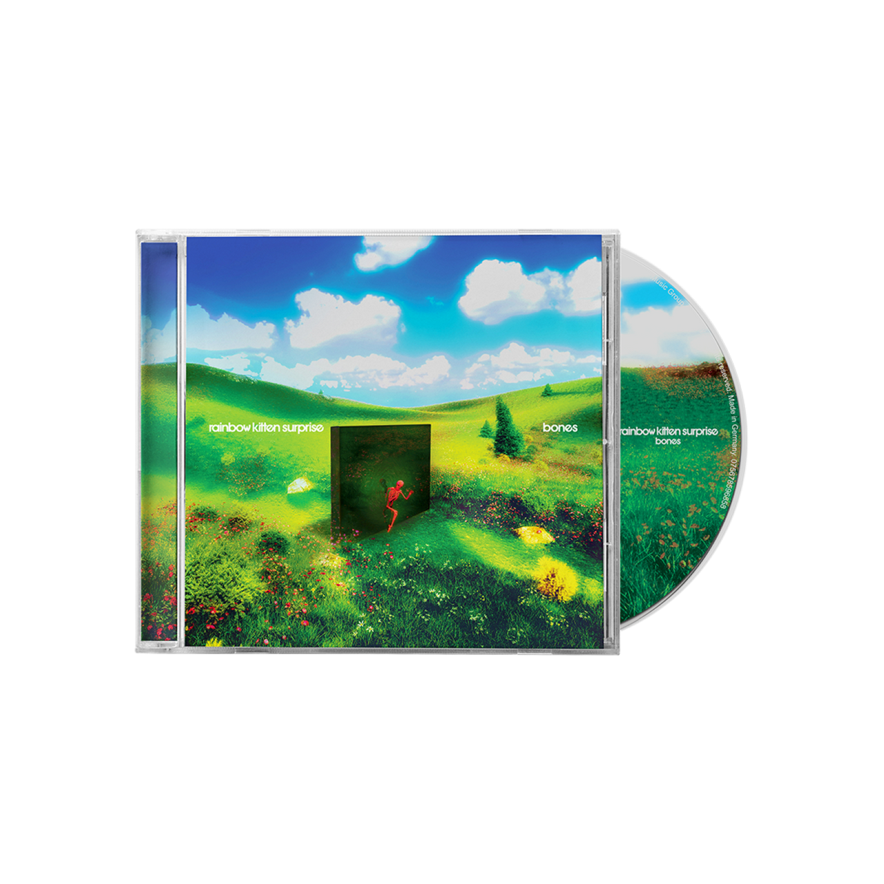 Rainbow Kitten Surprise: Bones CD