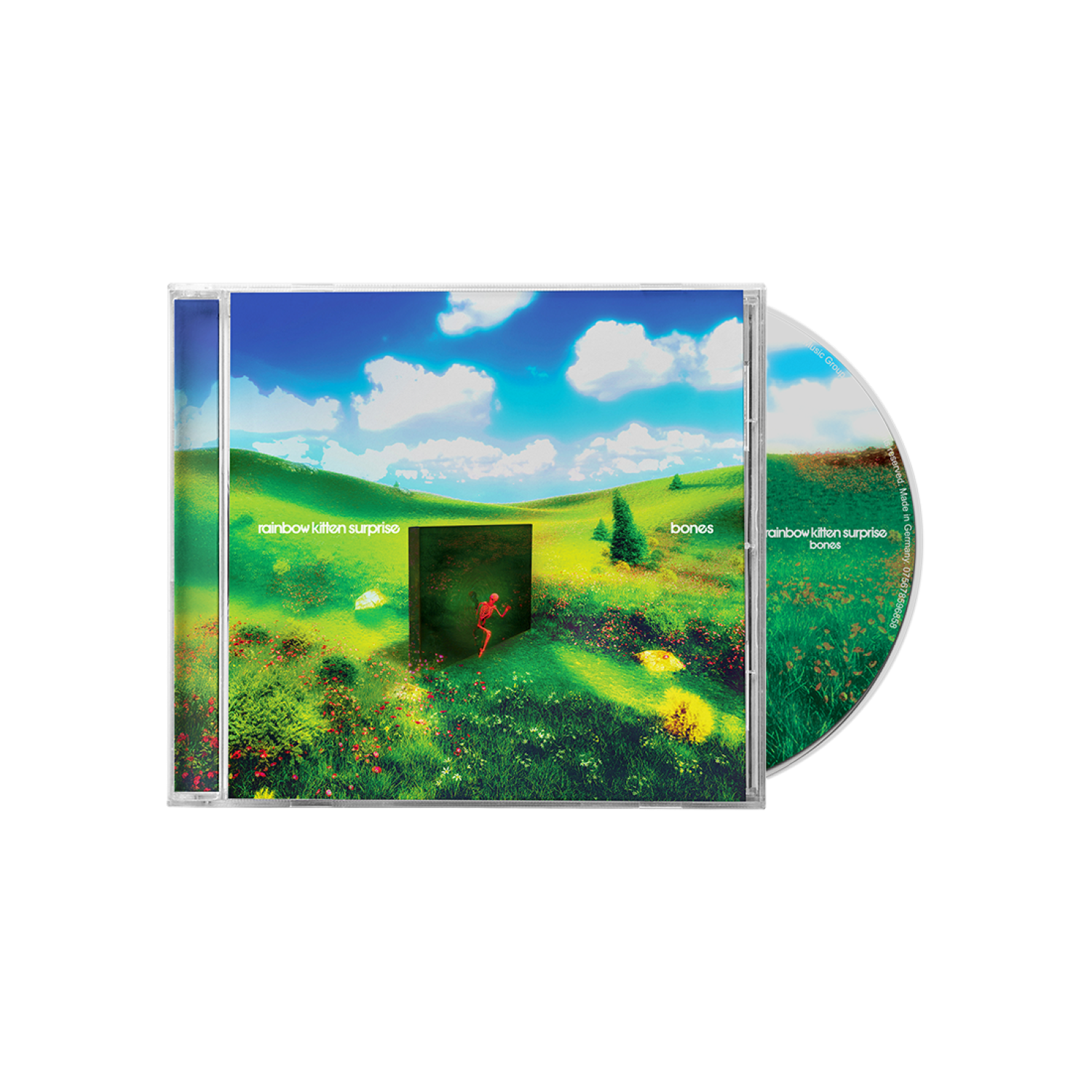 Rainbow Kitten Surprise: Bones CD