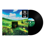 Rainbow Kitten Surprise: Bones Vinyl LP