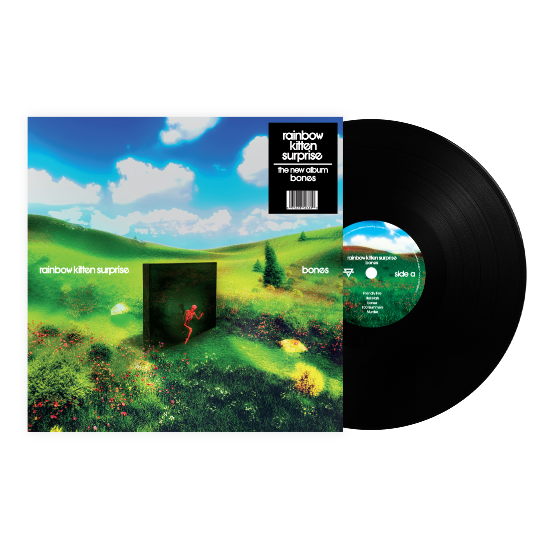 Rainbow Kitten Surprise: Bones Vinyl LP