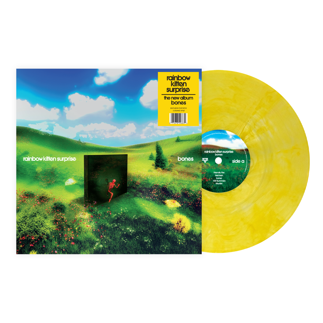 Rainbow Kitten Surprise: Bones Vinyl LP (Banana Yellow)