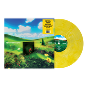 Rainbow Kitten Surprise: Bones Vinyl LP (Banana Yellow)