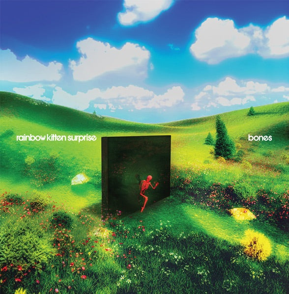 Rainbow Kitten Surprise: Bones Vinyl LP (Banana Yellow)