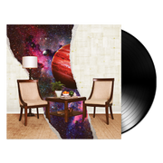 Rainbow Kitten Surprise: How To - Friend, Love, Freefall Vinyl LP
