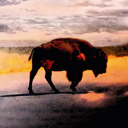 Robert Plant: Saving Grace Vinyl LP (Fruit Punch)