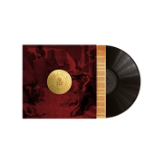 Ruston Kelly: Shape & Destroy Vinyl LP