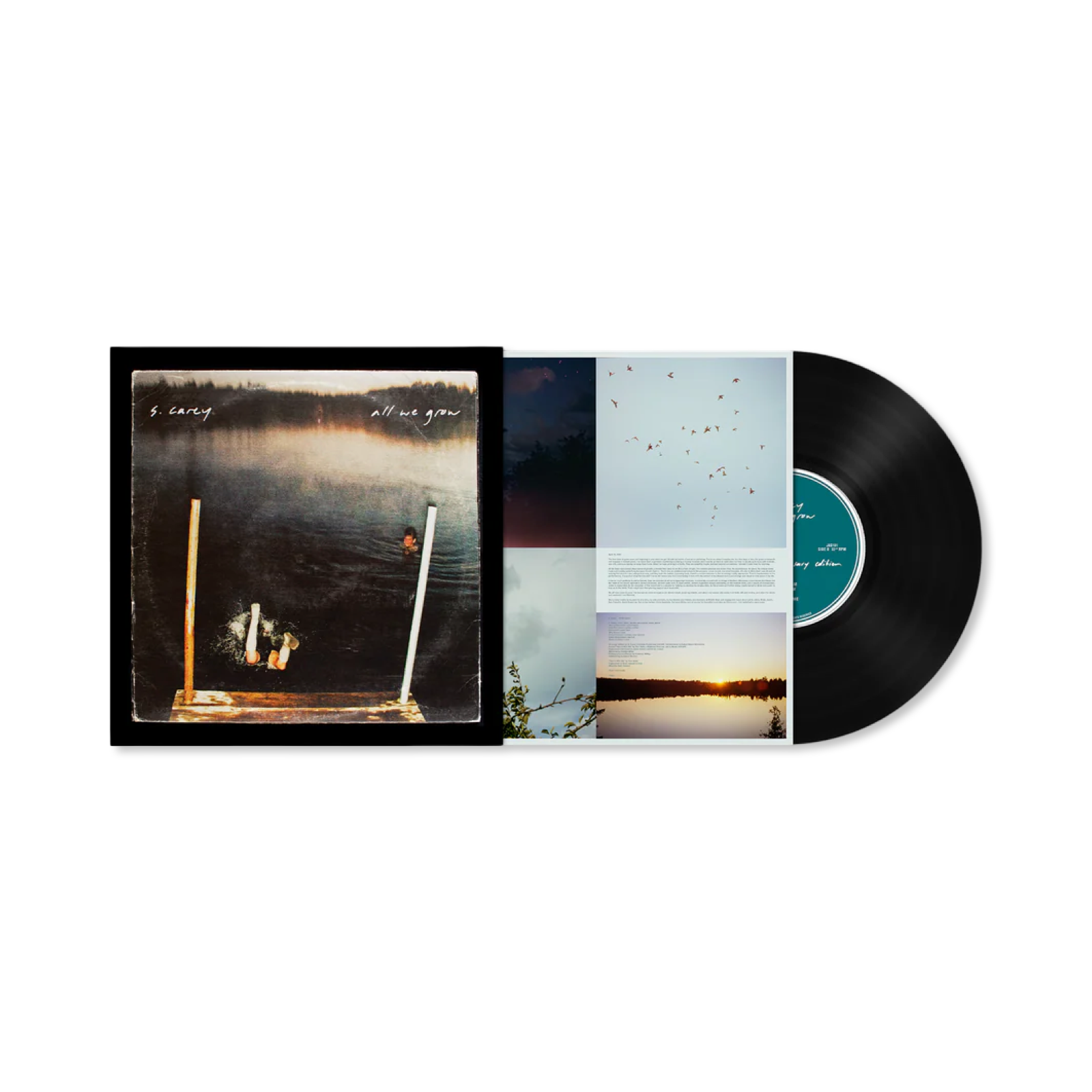 S. Carey: All We Grow Vinyl LP (Ten Year Anniversary Edition)