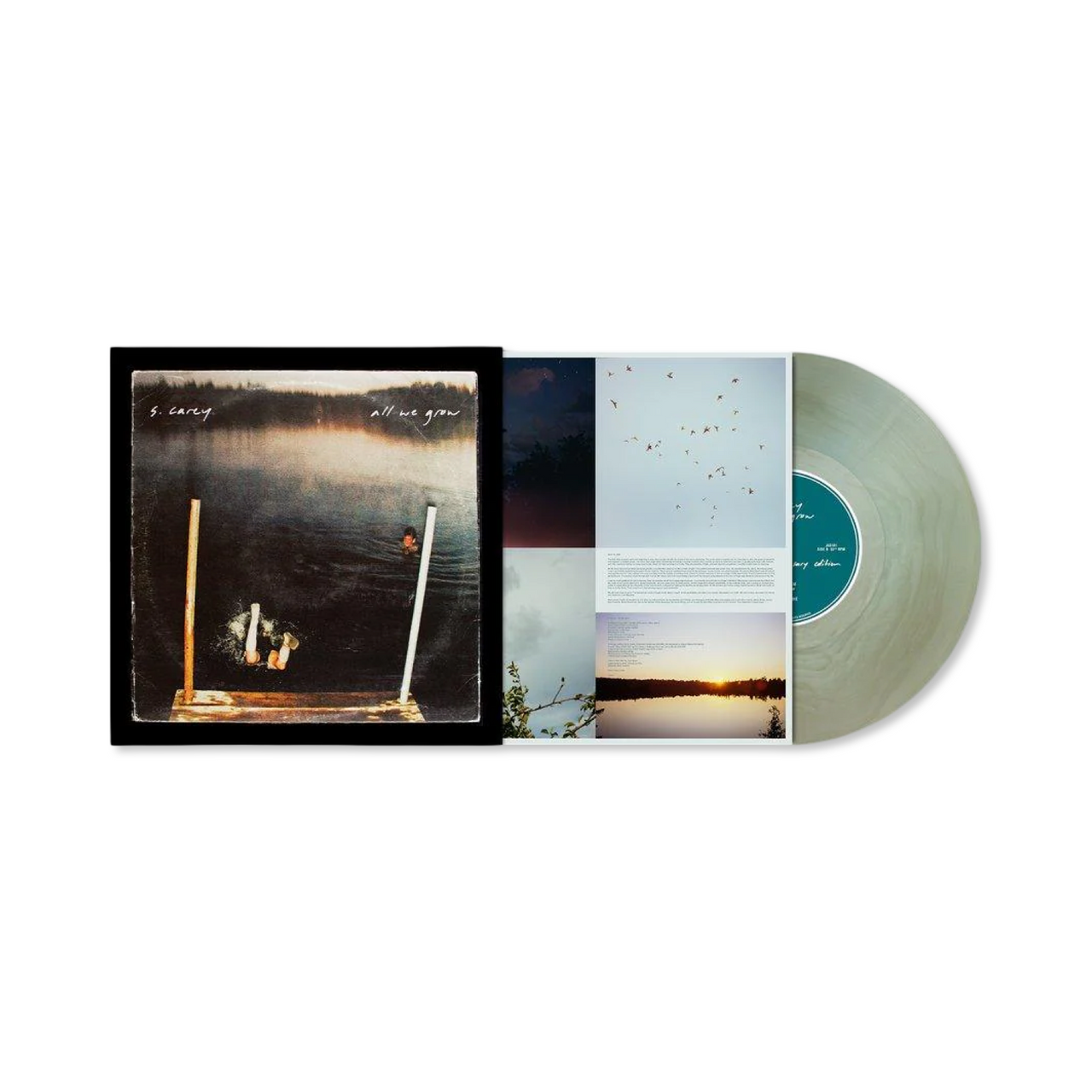 S. Carey: All We Grow Vinyl LP (Ten Year Anniversary Edition - Translucent Seaglass Wave)