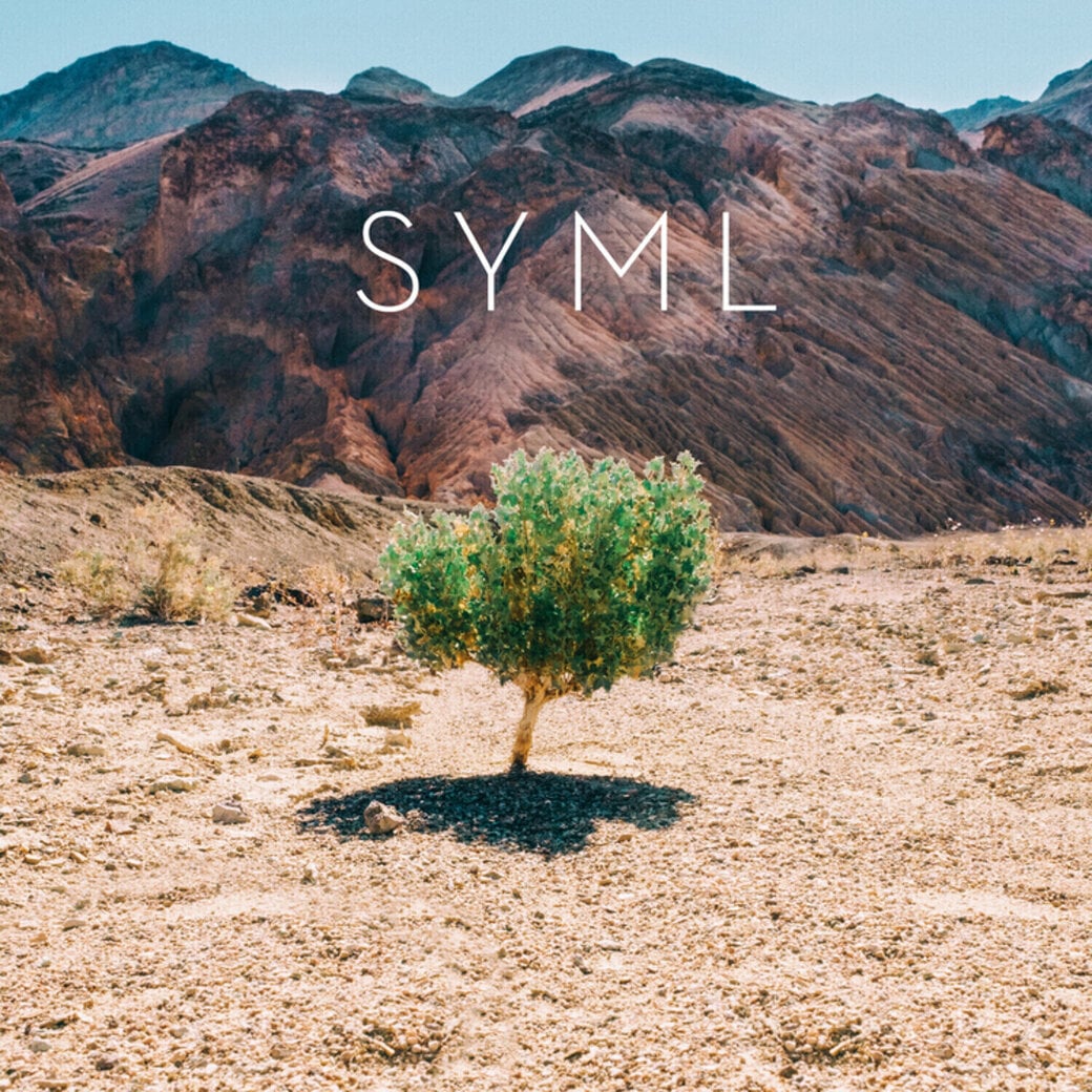 SYML: In My Body Vinyl LP