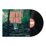 Stars Go Dim: Grace In The Wilderness Vinyl LP