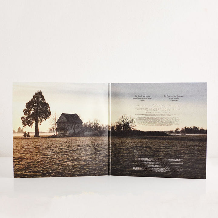 The Lumineers: III Vinyl LP