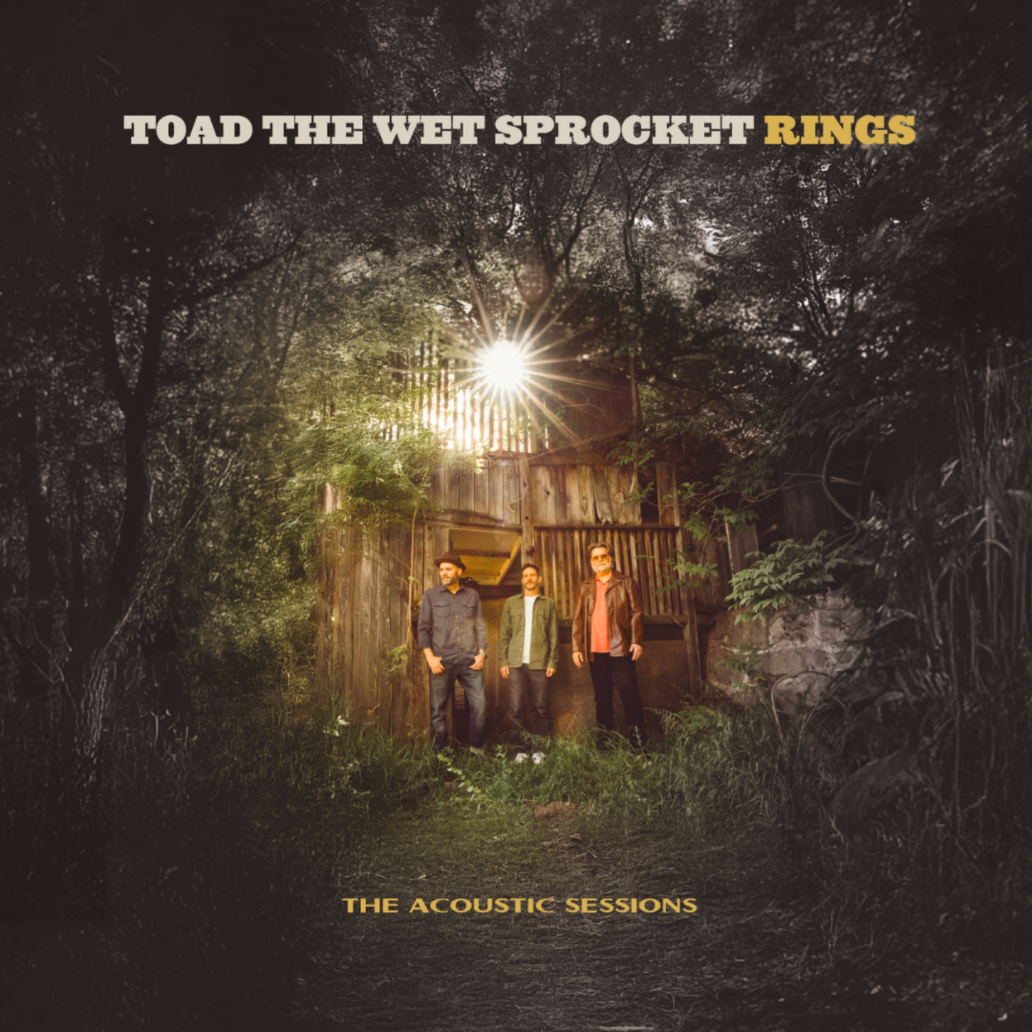 Toad the Wet Sprocket: Rings - The Acoustic Sessions