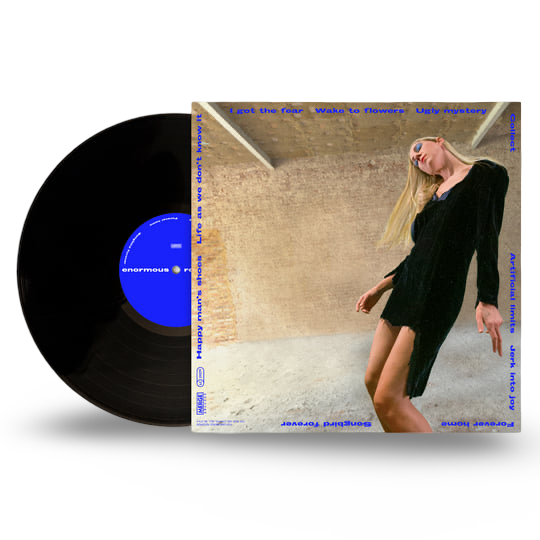 Torres: What an Enormous Room Vinyl LP