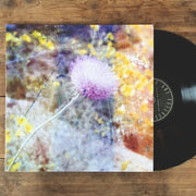 Young Oceans: You Are Fullness Vinyl LP