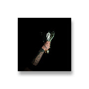Zauntee: We Already Won CD