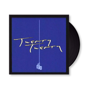 djo: Twenty Twenty Vinyl LP