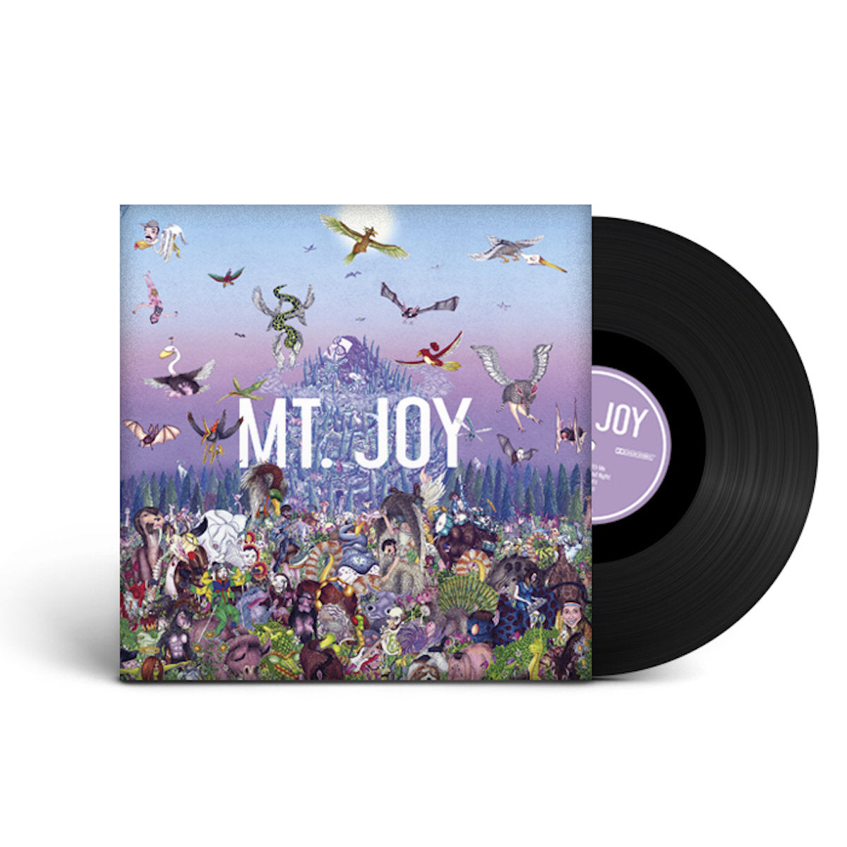Mt. Joy: Rearrange Us Vinyl LP