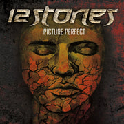 12 Stones: Picture Perfect Vinyl LP (Red)