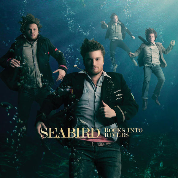 Seabird: Rocks into Rivers CD