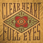 Craig Finn: Clear Heart Full Eyes Vinyl LP