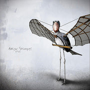 Aaron Strumpel: Birds CD
