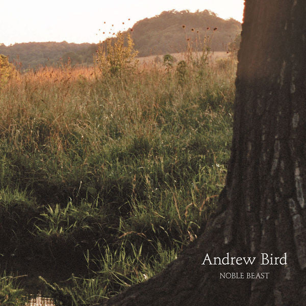 Andrew Bird: Noble Beast CD