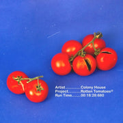 Colony House: Rotten Tomatoes Vinyl (Red)
