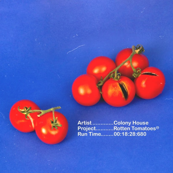 Colony House: Rotten Tomatoes Vinyl (Red)