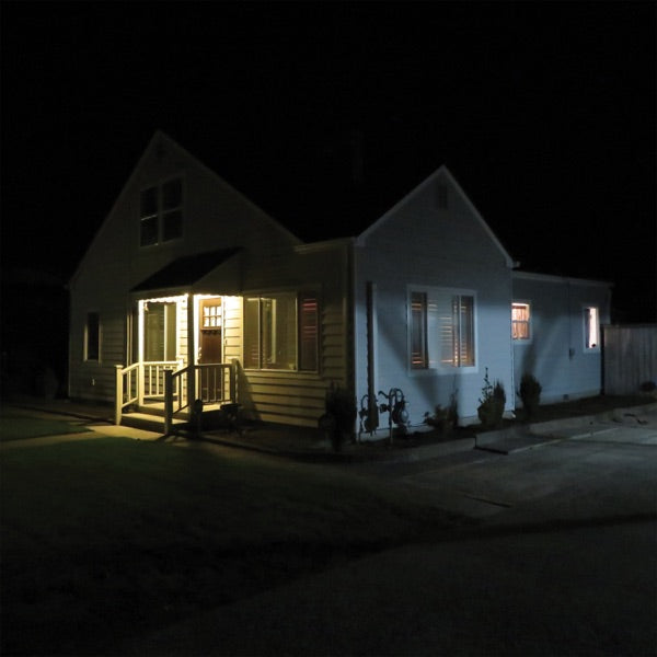 Damien Jurado: What's New, Tomboy? Vinyl LP (Quartz)