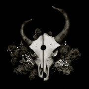 Demon Hunter: Summer of Darkness CD