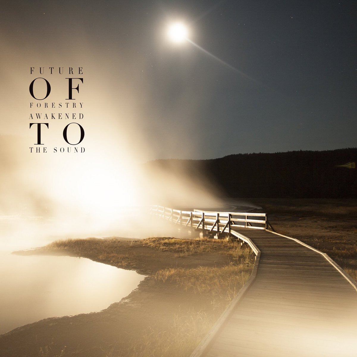 Future of Forestry: Awakened To The Sound