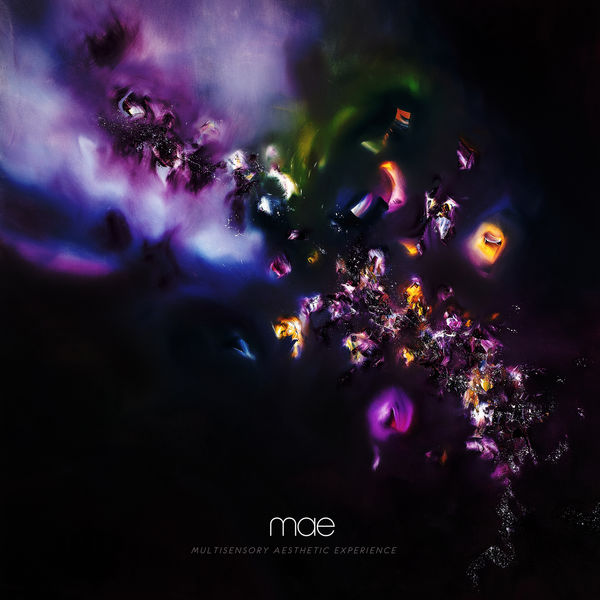 MAE: Multisensory Aesthetic Experience 