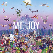 Mt. Joy: Rearrange Us Vinyl LP (Seafoam Green)