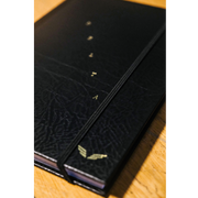 Mumford & Sons: Delta Diaries Book + CD