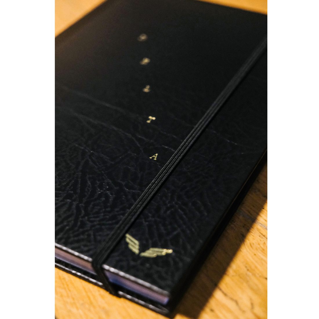 Mumford & Sons: Delta Diaries Book + CD