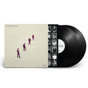 Mumford and Sons: Delta Vinyl LP