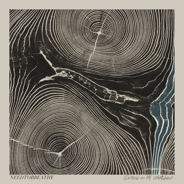 Needtobreathe: Rivers In The Wasteland Vinyl LP