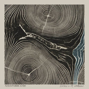 Needtobreathe: Rivers In The Wasteland Vinyl LP