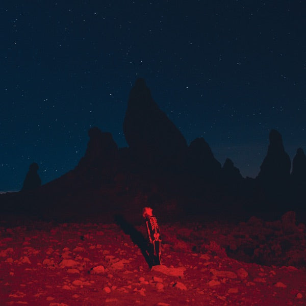 Phoebe Bridgers: Punisher CD