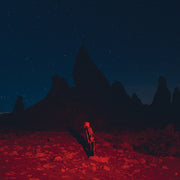 Phoebe Bridgers: Punisher CD