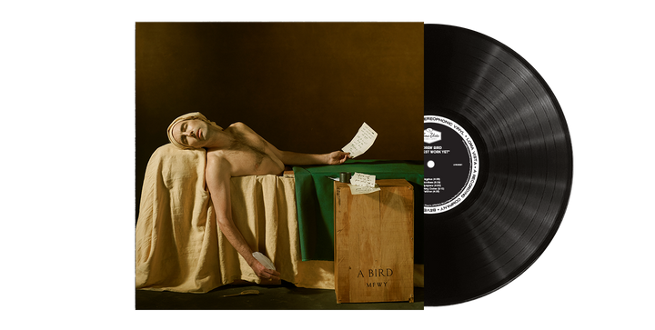 Andrew Bird: My Finest Work Yet Vinyl LP