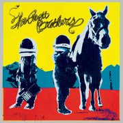 The Avett Brothers: True Sadness CD