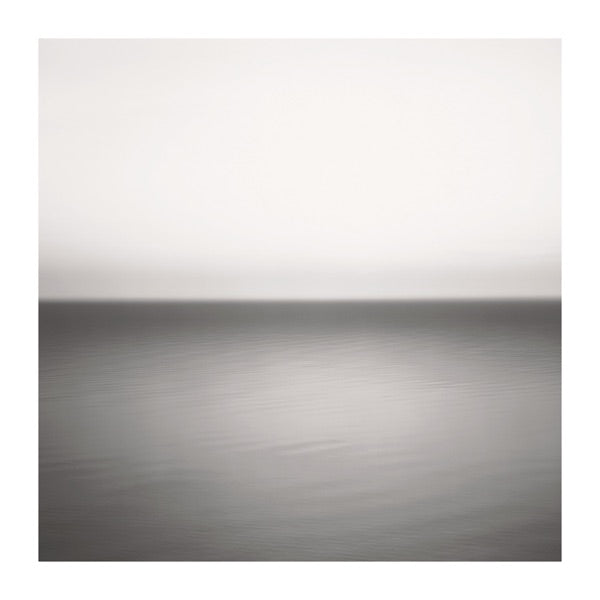 U2: No Line On The Horizon Vinyl LP
